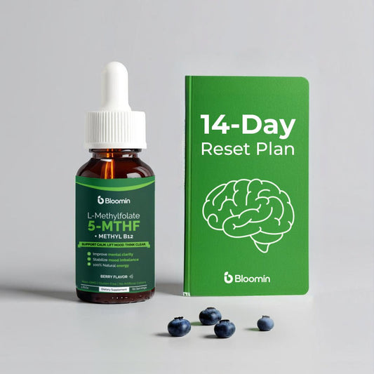 The 14 - Day Reset Plan — Bloomin B12 + L - Methylfolate - Bloomin