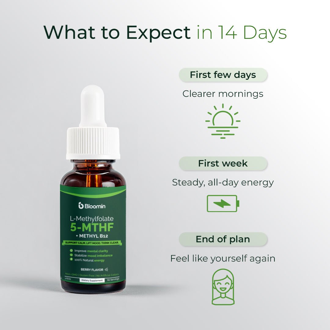 The 14 - Day Reset Plan — Bloomin B12 + L - Methylfolate - Bloomin
