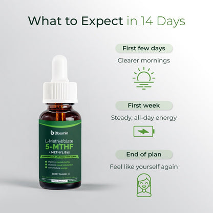 The 14 - Day Reset Plan — Bloomin B12 + L - Methylfolate - Bloomin